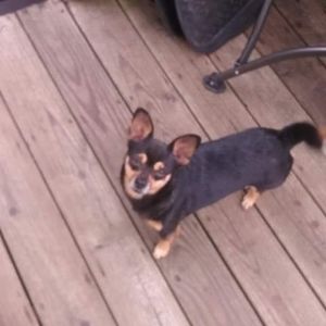 Meet your Posher, Almeda